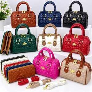 2 in 1 coach bag